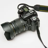 DP <i>(Compact)</i>