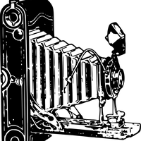 Alpha X <i>(Hybride)</i>